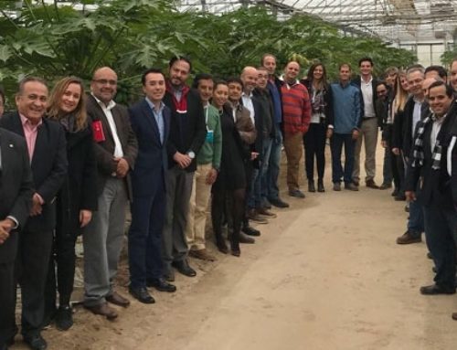 Grupo Durán luce la tecnología del primer productor de papaya de Europa